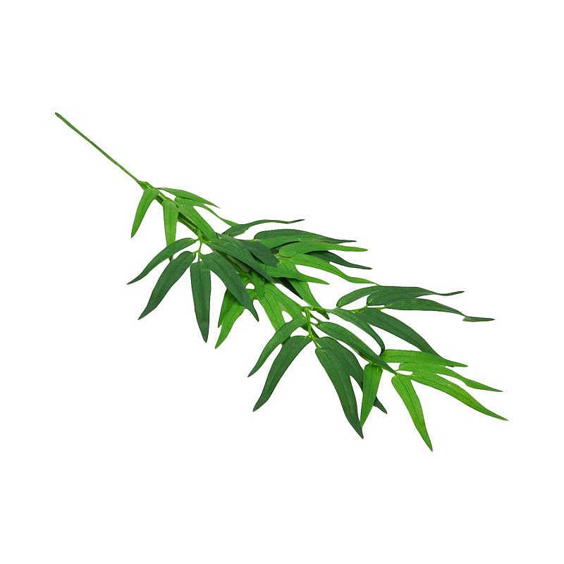  Feuille  de bambou  japonais L Incroyable